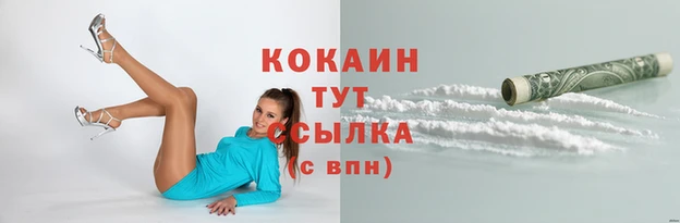 мяу мяу мука Баксан